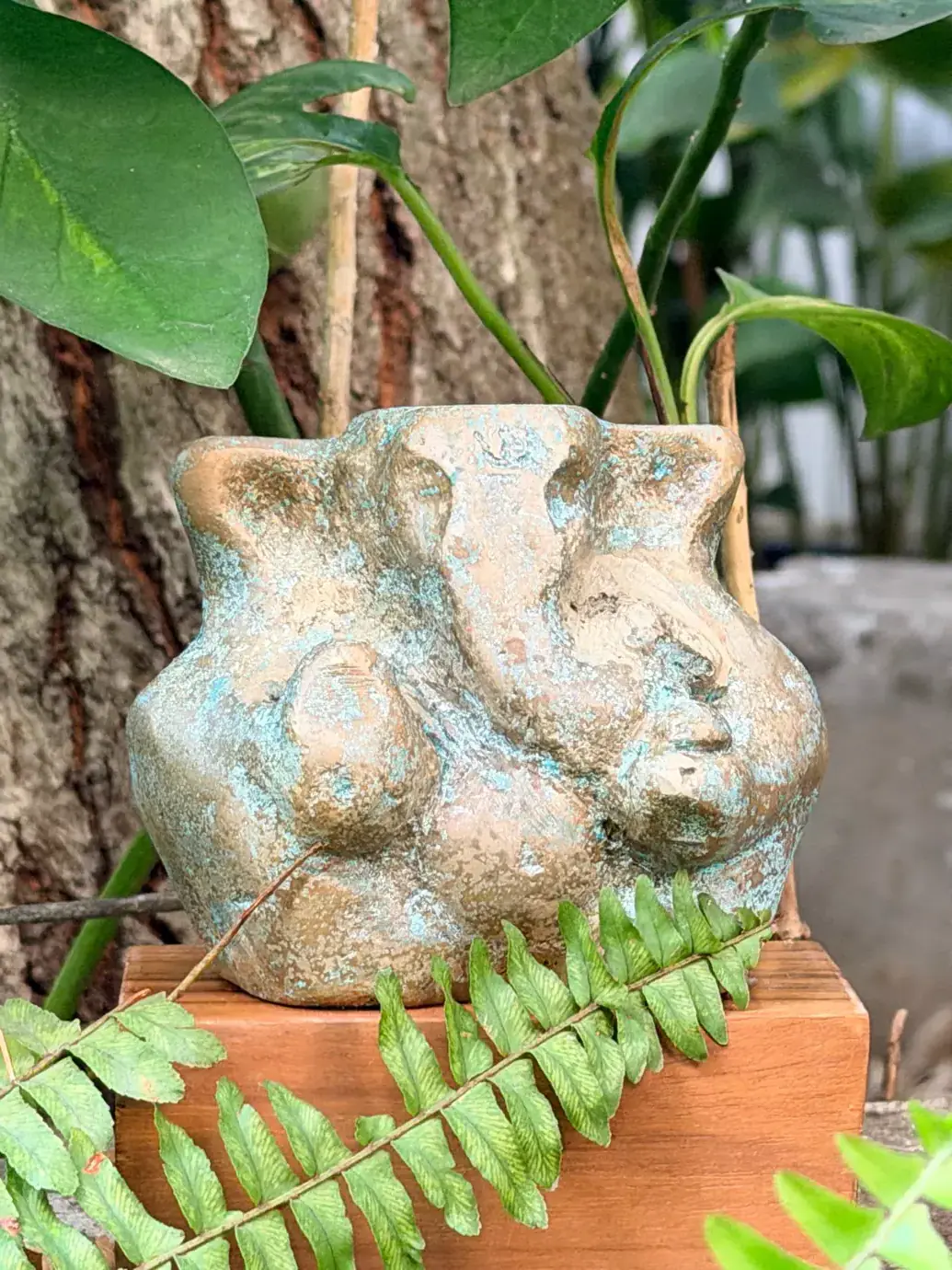 Seed of Wisdom